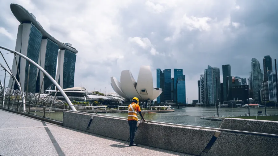 Photo by shawnanggg on Unsplash