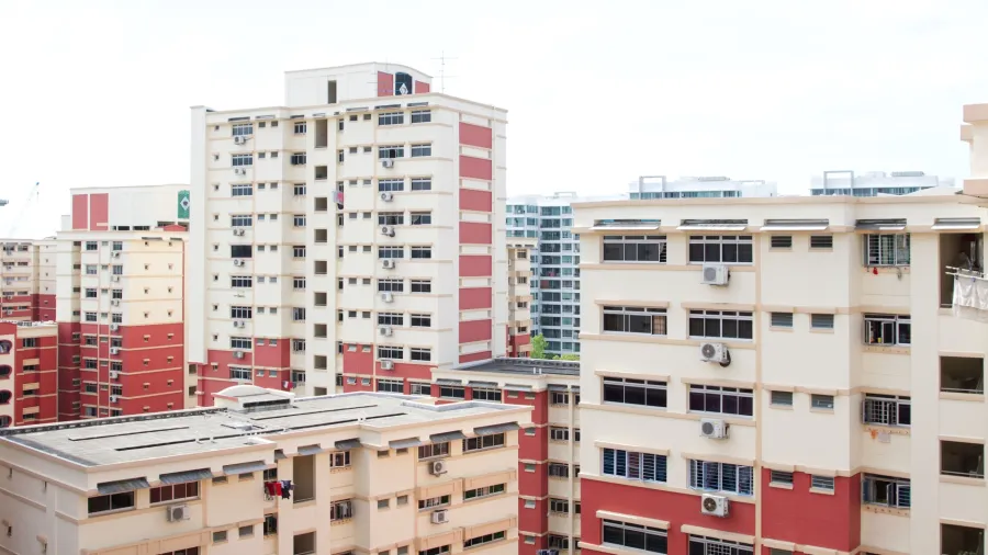 Photo by Shermin Ng for Unsplash