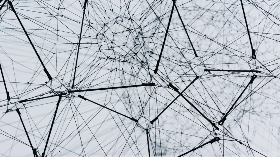Photo by Alina Grubnyak via Unsplash.