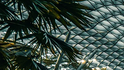 Photo courtesy of Jewel Changi Airport