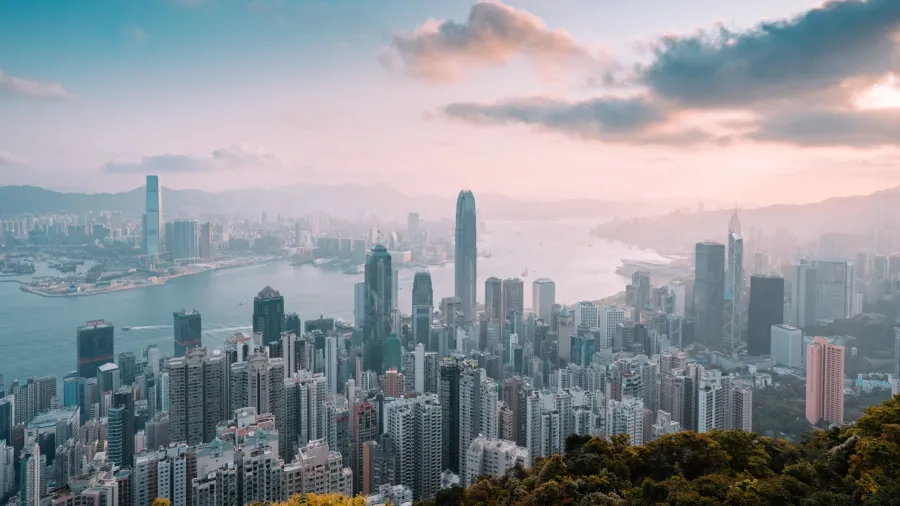 Photo by bady abbas on Unsplash
