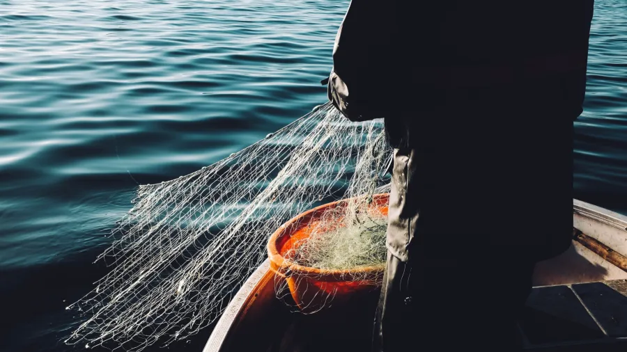 Photo by Fredrik Ohlander from Unsplash