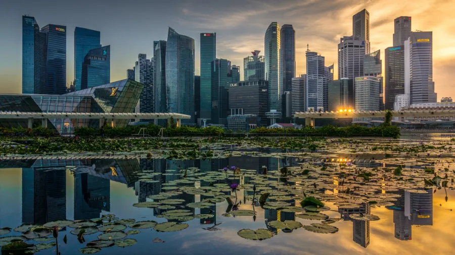 Photo by Mike Enerio on Unsplash
