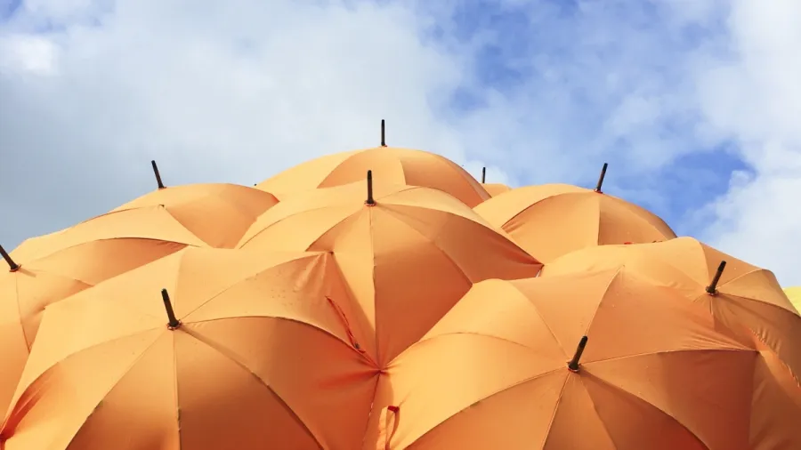 /Catrin Johnson from Unsplash