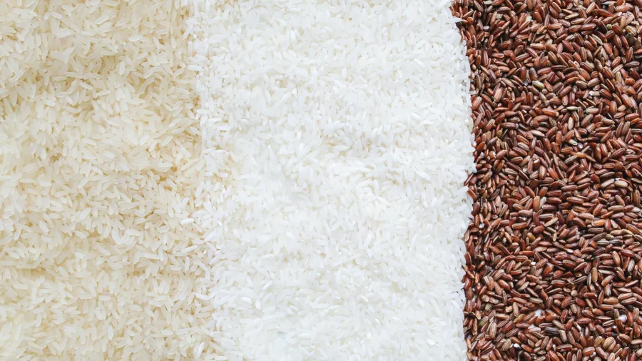 Photo by Polina Tankilevitch: https://www.pexels.com/photo/close-up-photo-of-assorted-rice-4110255/
