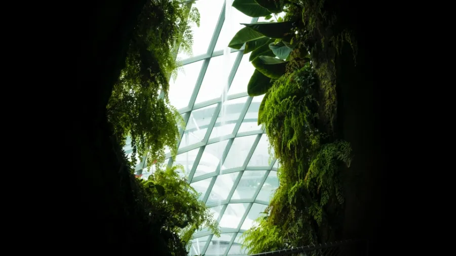Photo from Unsplash