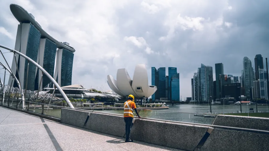 Photo by shawnanggg on Unsplash