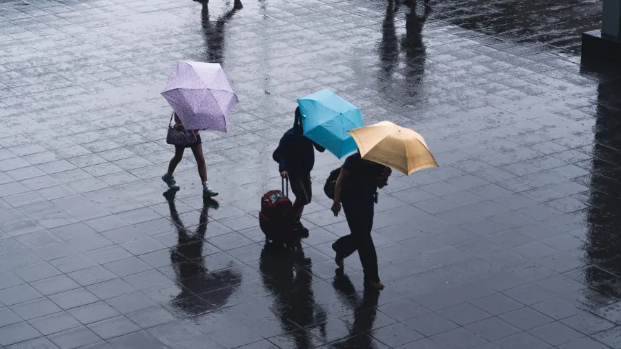/Ryoji Iwata from Unsplash