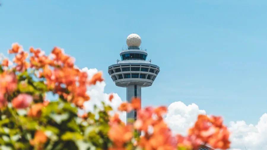 /Shawnanggg from Unsplash
