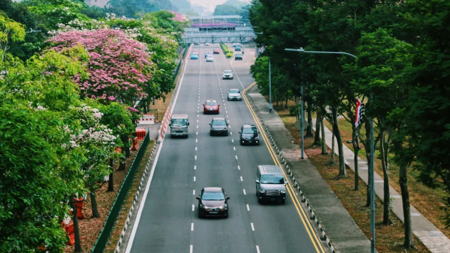 Photo by Kylle Pangan via Unsplash