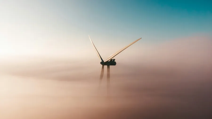 Photo by Sander Weeteling on Unsplash